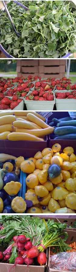 veggies